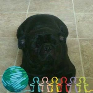 Meet your Posher, Matt